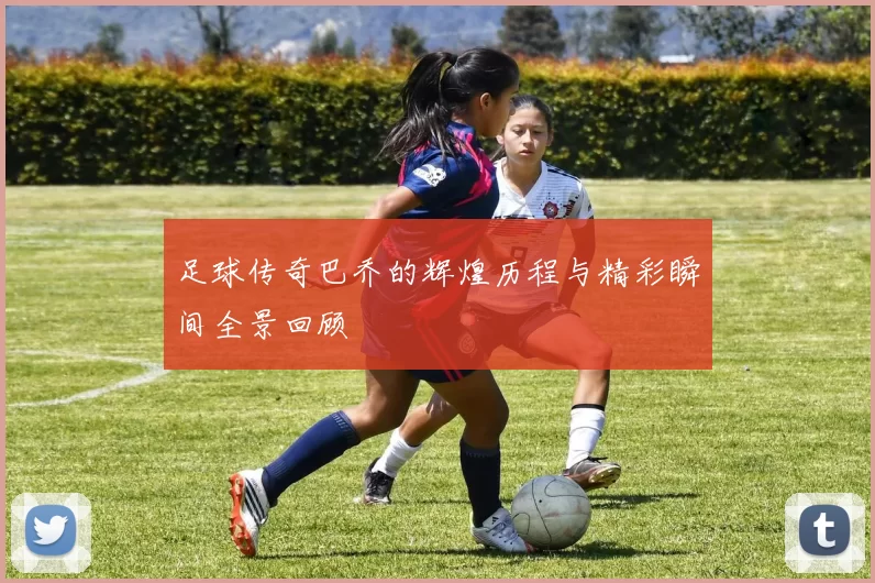 足球传奇巴乔的辉煌历程与精彩瞬间全景回顾