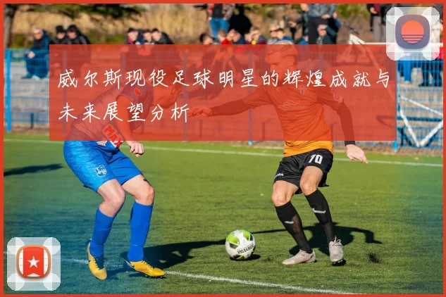 威尔斯现役足球明星的辉煌成就与未来展望分析