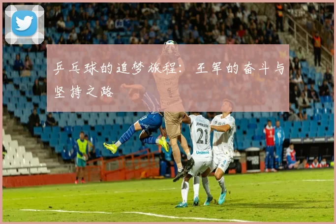 乒乓球的追梦旅程：王军的奋斗与坚持之路