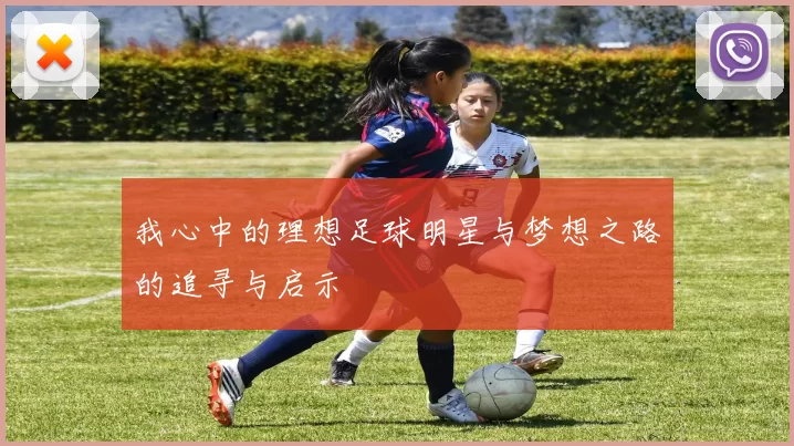 我心中的理想足球明星与梦想之路的追寻与启示