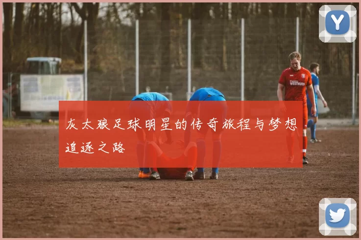 灰太狼足球明星的传奇旅程与梦想追逐之路