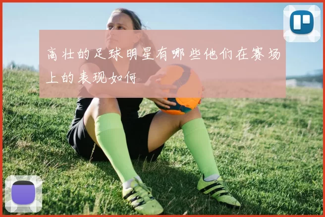 高壮的足球明星有哪些他们在赛场上的表现如何