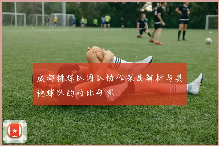 成都排球队团队协作深度解析与其他球队的对比研究