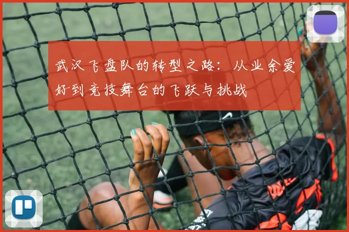 武汉飞盘队的转型之路：从业余爱好到竞技舞台的飞跃与挑战