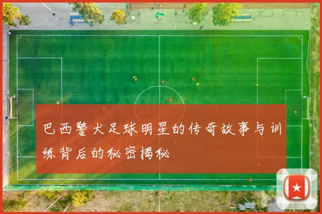 巴西警犬足球明星的传奇故事与训练背后的秘密揭秘