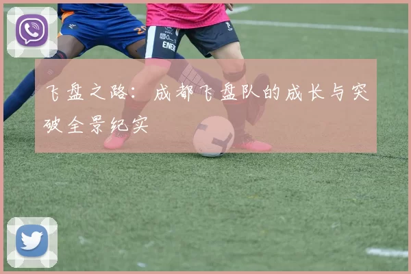 飞盘之路：成都飞盘队的成长与突破全景纪实
