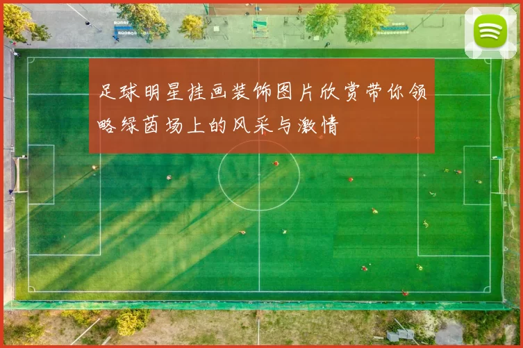 足球明星挂画装饰图片欣赏带你领略绿茵场上的风采与激情