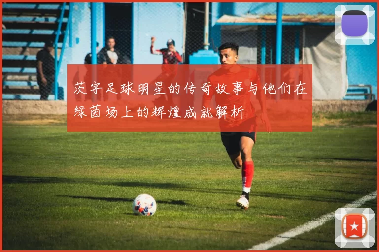 茨字足球明星的传奇故事与他们在绿茵场上的辉煌成就解析