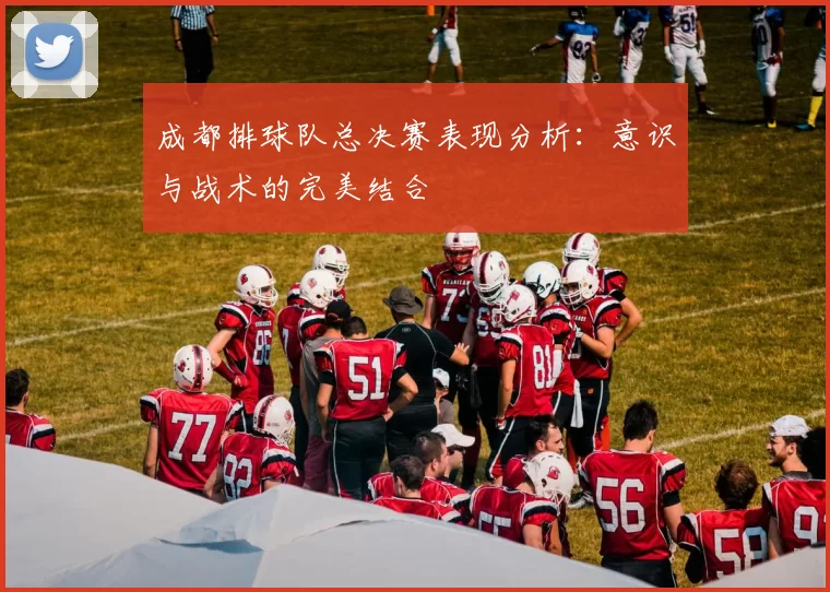 成都排球队总决赛表现分析：意识与战术的完美结合