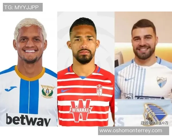 西甲在线回放功能指南：平台推荐与使用技巧